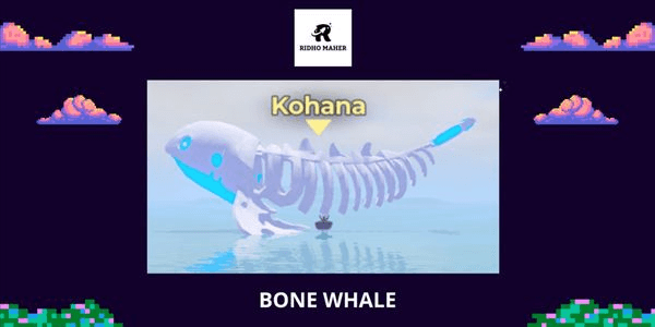 Gambar Product Bone Whale