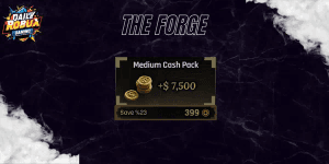 Medium Cash Pack