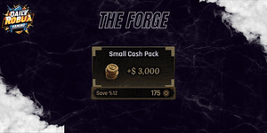 Small Cash Pack