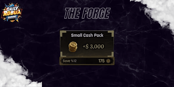 Small Cash Pack
