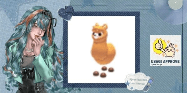 Gambar Product Alpaca