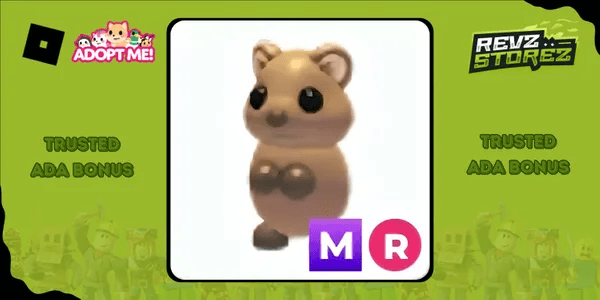 Quokka