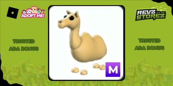 Gambar Product Camel