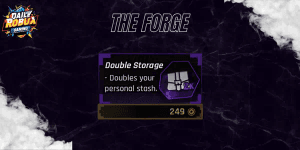 Double Storage