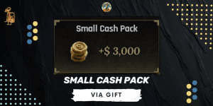 Small Cash Pack