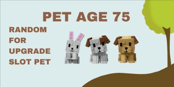 Gambar Product Pet Age 75 | Random