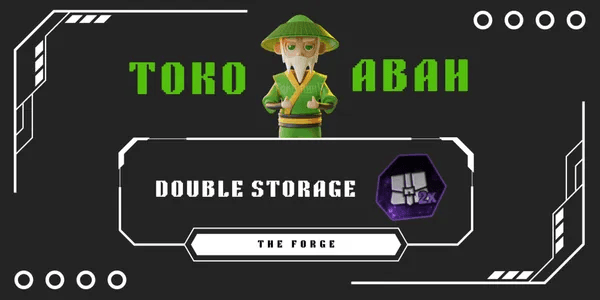 Double Storage