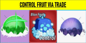 Control