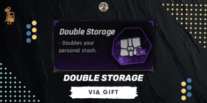 Double Storage