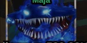 Elshark Gran Maja