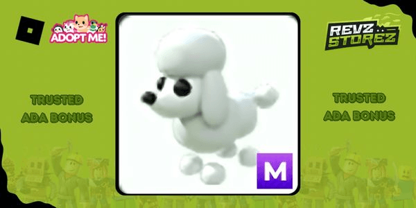 Gambar Product Poodle