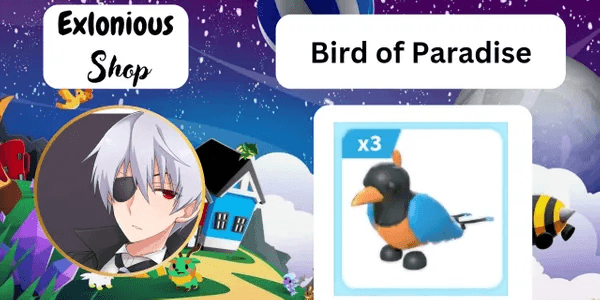 Bird of Paradise