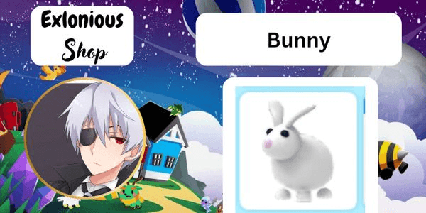 Gambar Product Bunny