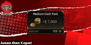 Medium Cash Pack