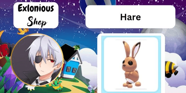 Gambar Product Hare