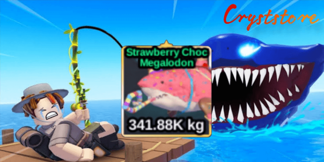 Product Showcase