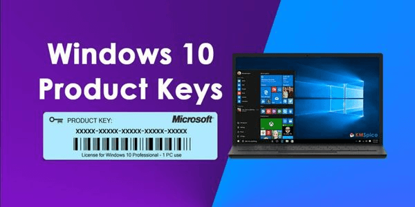 Gambar Product Windows 10 Professional