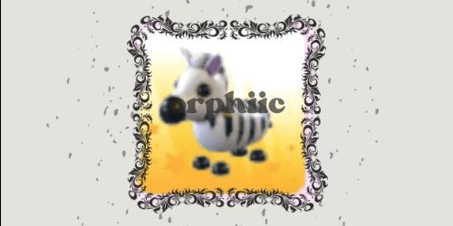 Gambar Product Zebra