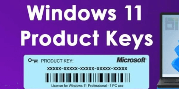 Gambar Product Windows 11 Professional