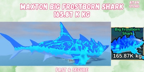 Gambar Product Big Frostborn Shark
