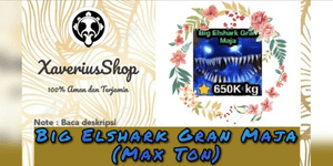 Elshark Gran Maja