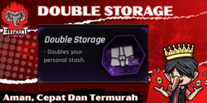 Double Storage