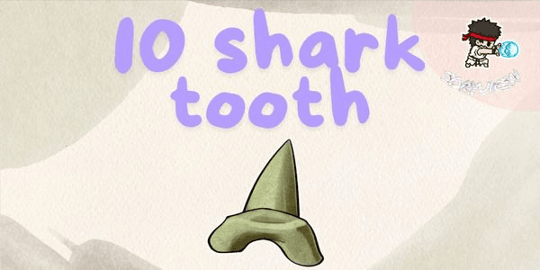 Gambar Product 10 Shark Tooth