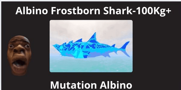 Gambar Product Albino Frostborn Shark