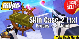 Skin Case 2