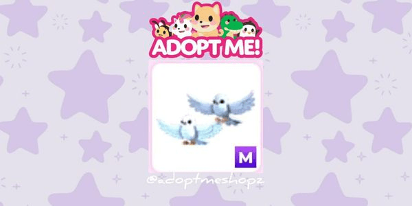 Gambar Product Turtle Doves