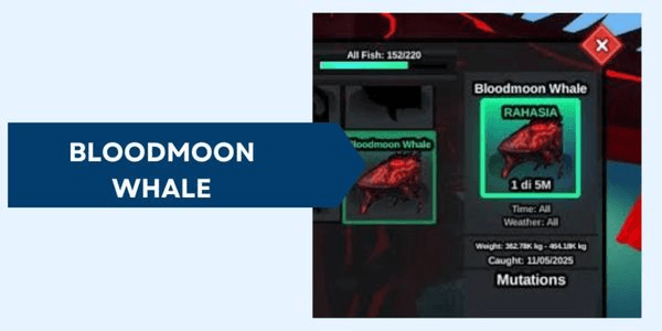 Gambar Product Bloodmoon Whale