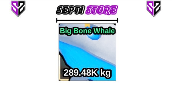 Gambar Product Big Bone Whale