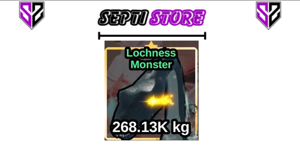 Product Showcase