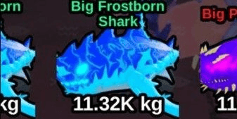 Gambar Product Frostborn Shark