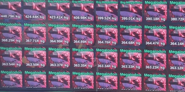 Megalodon