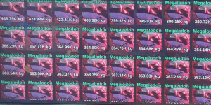 Megalodon