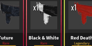 Da Hood | Black And White (Rare Skin)