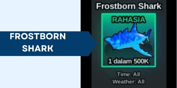 Gambar Product Frostborn Shark