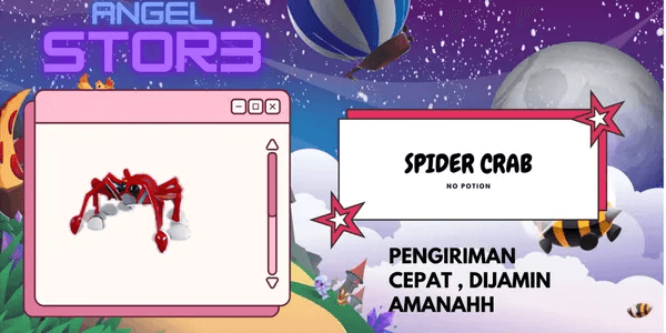 Spider Crab