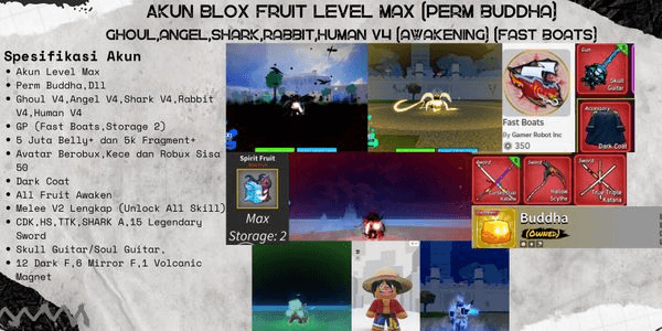 Gambar Product Akun Blox Fruit Level Max (Perm Buddha) Ghoul,Angel,Shark,Rabbit,Human V4 (Awakening) (Fast Boats)