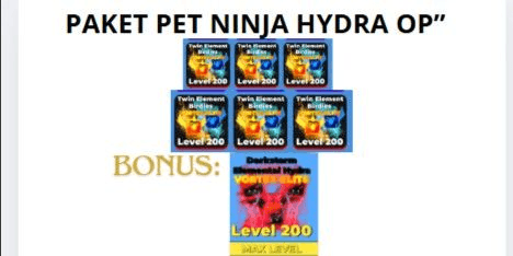 Gambar Product PET PACK OPENING IN NINJA LEGENDS!! SINCE 2021
