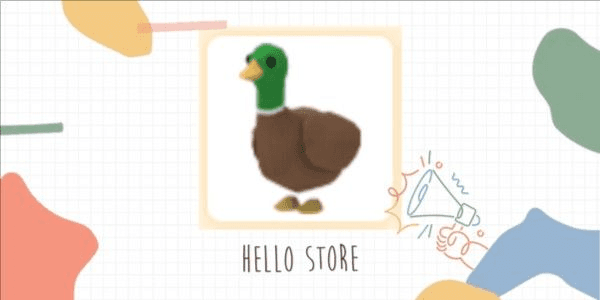 Product Showcase