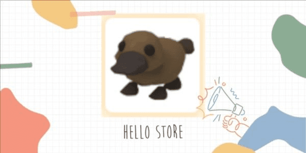 Product Showcase
