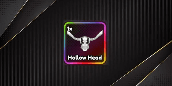 Gambar Product Hollow Head