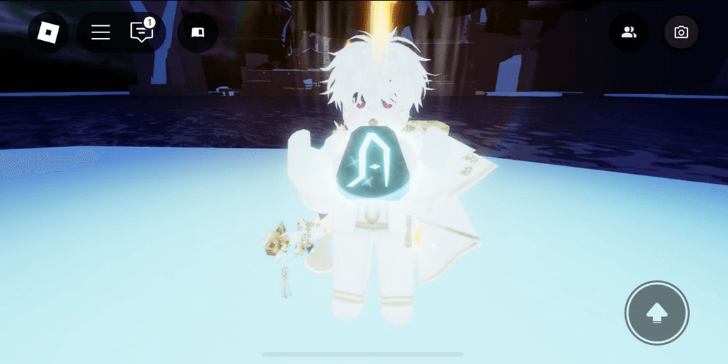 Product Showcase