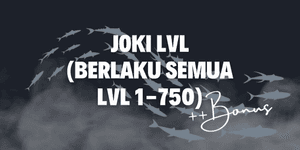Level-Service 1-750 (pro Level)