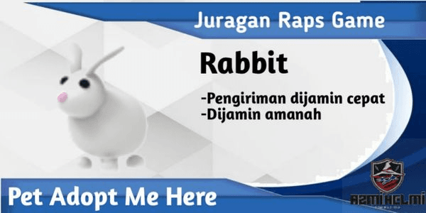 Gambar Product Rabbit