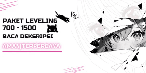 Leveling 2nd Sea