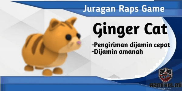 Gambar Product Ginger Cat