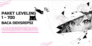 Leveling 1st Sea